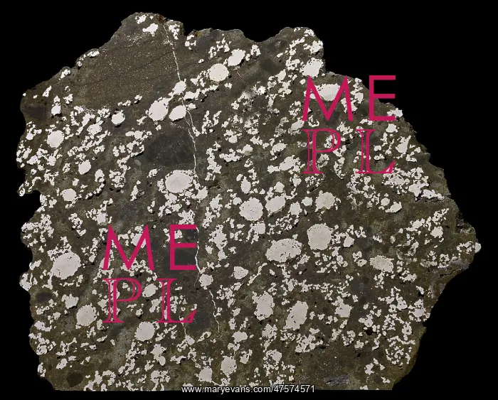 : Estherville Meterorite : Estherville Meterorite