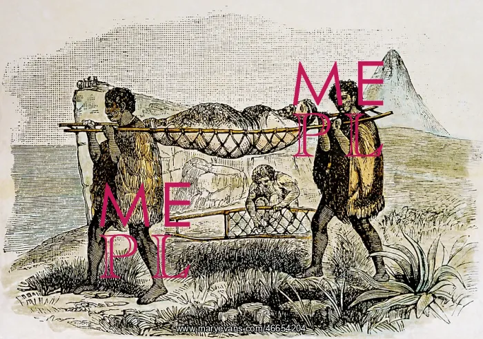: ethnology, man, two Maori carrying an invalid : ethnology, man, two Maori carrying an invalid