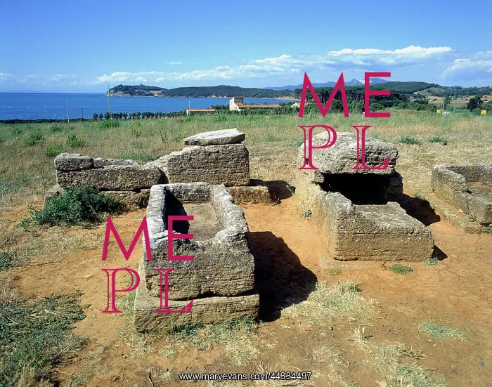 : The Etruscan Necropolis in Populonia : The Etruscan Necropolis in Populonia
