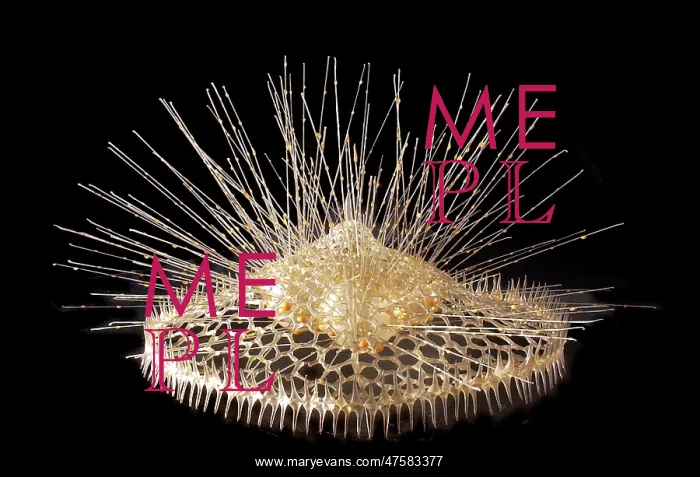  : Eucecryphalus schultzei, radiolarian