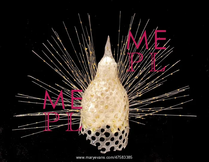 : Eucyrtidium cranoides, radiolarian : Eucyrtidium cranoides, radiolarian