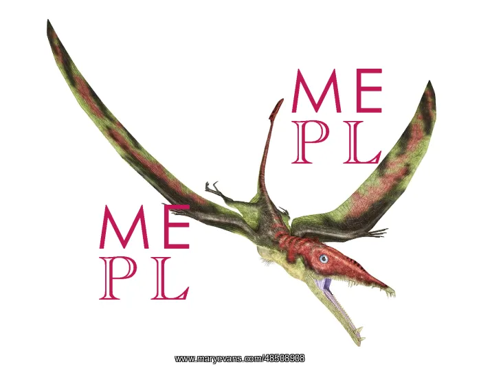 : Eudimorphodon flying prehistoric reptile : Eudimorphodon flying prehistoric reptile