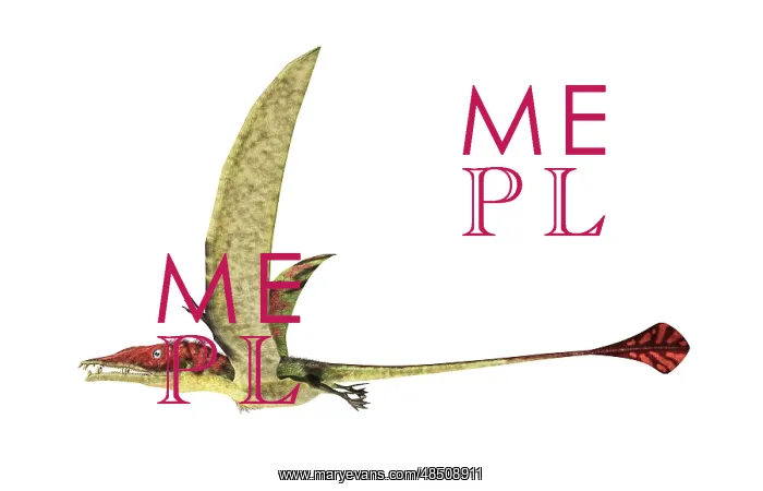 : Eudimorphodon flying prehistoric reptile : Eudimorphodon flying prehistoric reptile