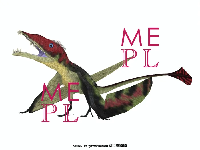 : Eudimorphodon flying reptile : Eudimorphodon flying reptile