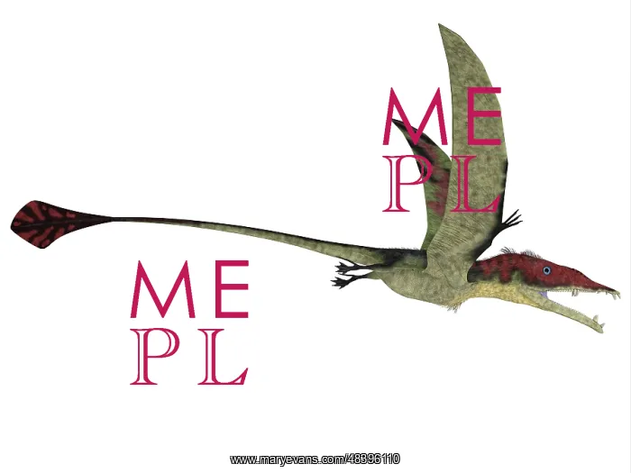 : Eudimorphodon is a flying reptile that lived during the ? : Eudimorphodon is a flying reptile that lived during the ?