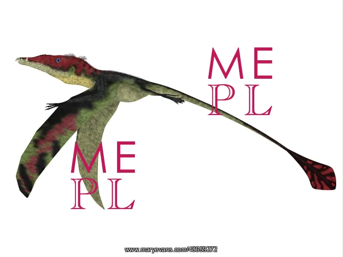 : Eudimorphodon, side profile : Eudimorphodon, side profile