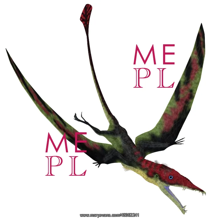 : Eudimorphodon pterosaur flying : Eudimorphodon pterosaur flying
