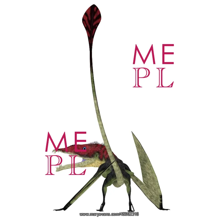 : Eudimorphodon pterosaur, rear view : Eudimorphodon pterosaur, rear view