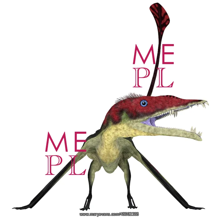 : Eudimorphodon pterosaur, front view : Eudimorphodon pterosaur, front view