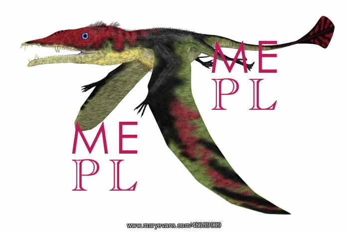 : Eudimorphodon pterosaur, side view on white background : Eudimorphodon pterosaur, side view on white background