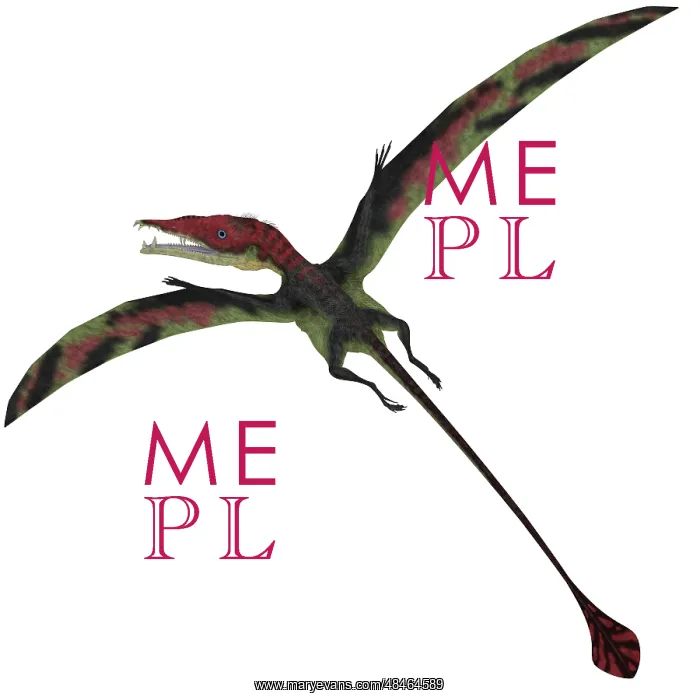 : Eudimorphodon, a pterosuar from the Late Triassic Period : Eudimorphodon, a pterosuar from the Late Triassic Period