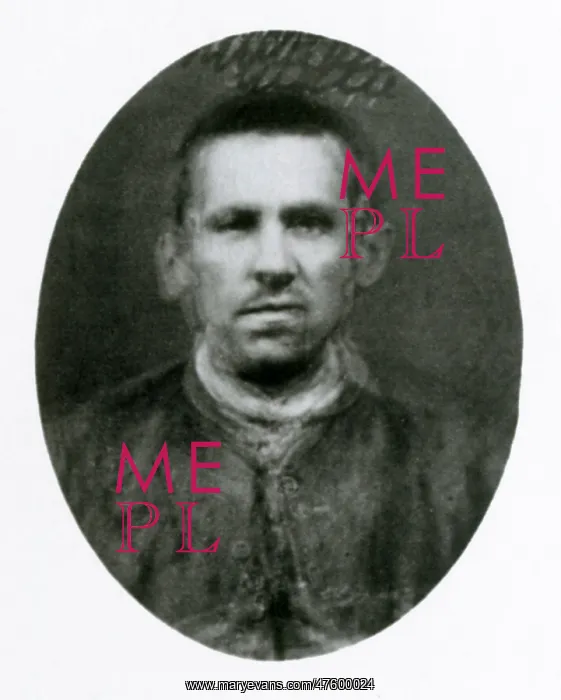 : Eugenics, Criminal Composite : Eugenics, Criminal Composite