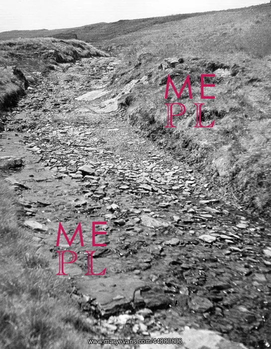 : EUNANT PASS : EUNANT PASS