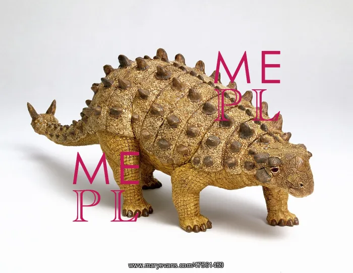 : Euoplocephalus : Euoplocephalus