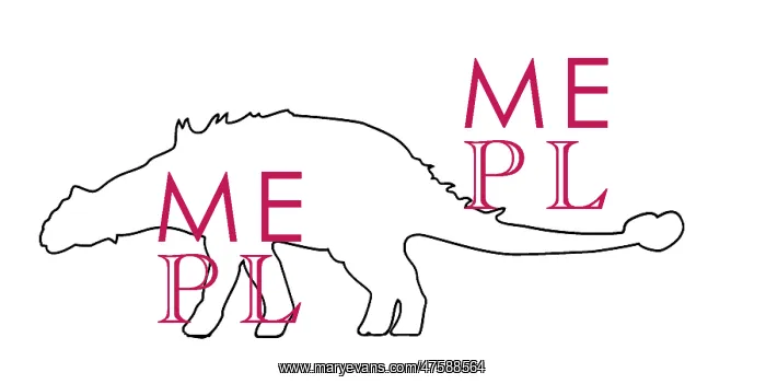 : Euoplocephalus : Euoplocephalus