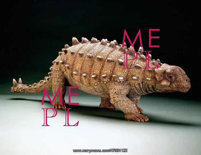 : Euoplocephalus : Euoplocephalus