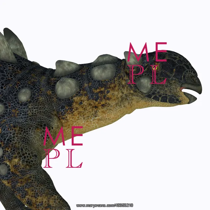 : Euoplocephalus dinosaur head, side view : Euoplocephalus dinosaur head, side view