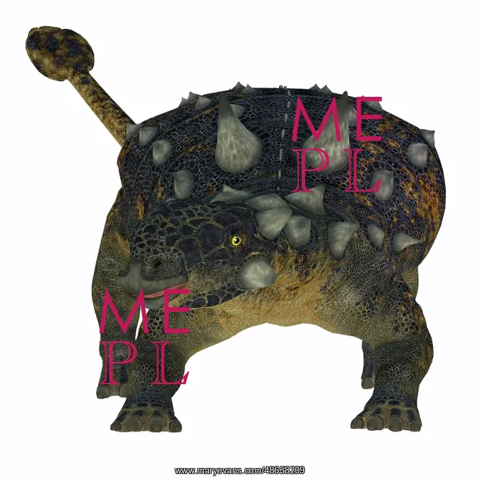 : Euoplocephalus dinosaur, front view : Euoplocephalus dinosaur, front view