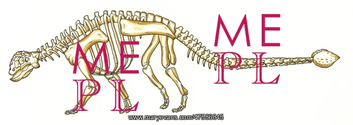 : Euoplocephalus skeleton : Euoplocephalus skeleton