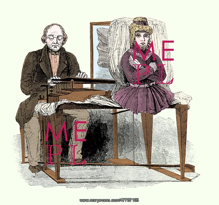 : The Euphonia Speaking Machine, 1846 : The Euphonia Speaking Machine, 1846