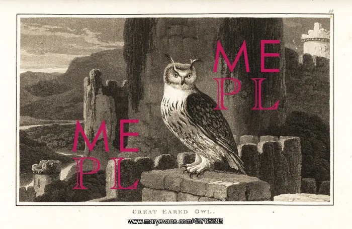 : Eurasian eagle-owl perched on top of a Gothic castle : Eurasian eagle-owl perched on top of a Gothic castle