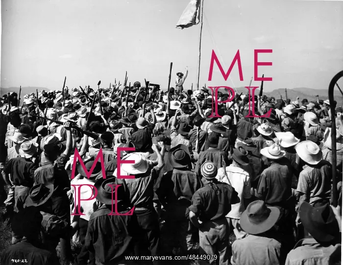 : EUREKA STOCKADE : EUREKA STOCKADE