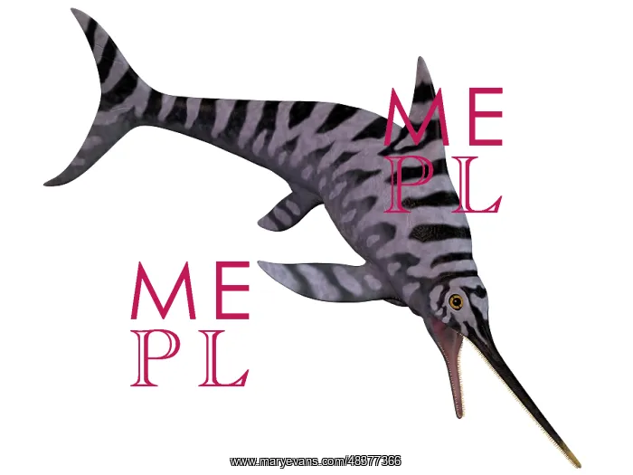  : Eurhinosaurus, an extinct genus of ichthyosaur