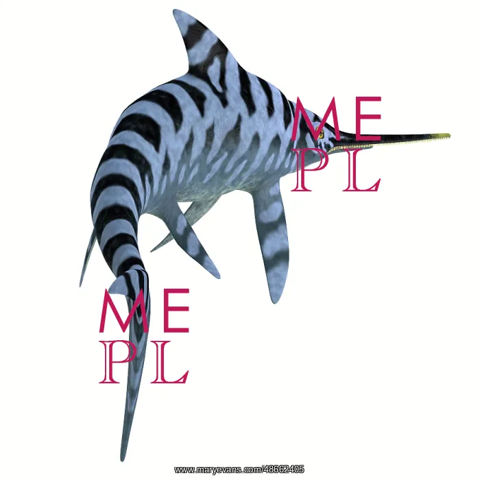 : Eurhinosaurus reptile, rear view : Eurhinosaurus reptile, rear view