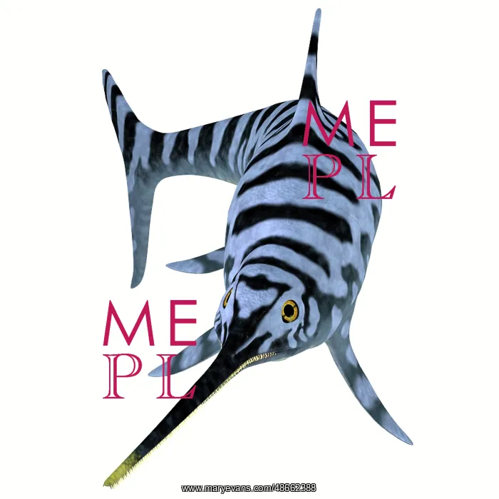 : Eurhinosaurus reptile, front view : Eurhinosaurus reptile, front view