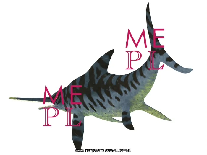 : Eurhinosaurus reptile, side view : Eurhinosaurus reptile, side view