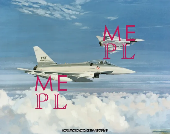 : Eurofighter Typhoon : Eurofighter Typhoon