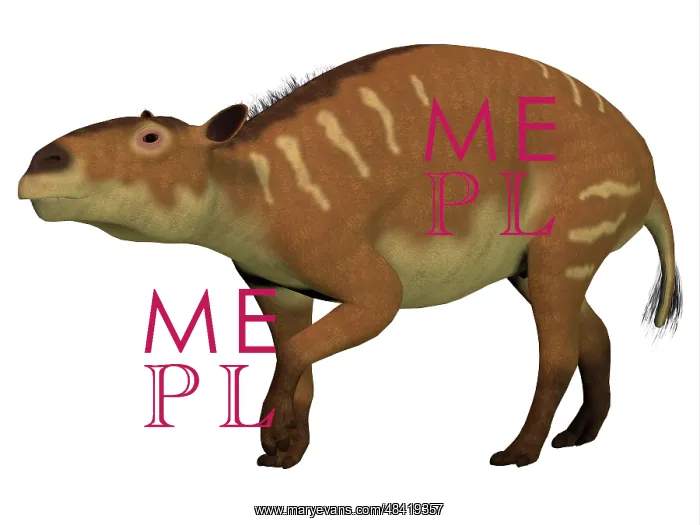 : Eurohippus is an ancestor of the horse that lived during ? : Eurohippus is an ancestor of the horse that lived during ?