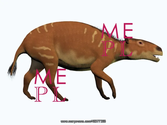 : Eurohippus, an extinct ancestor of the modern horse : Eurohippus, an extinct ancestor of the modern horse
