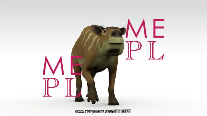 : Eurohippus, an extinct genus of equid ungulate, white ? : Eurohippus, an extinct genus of equid ungulate, white ?