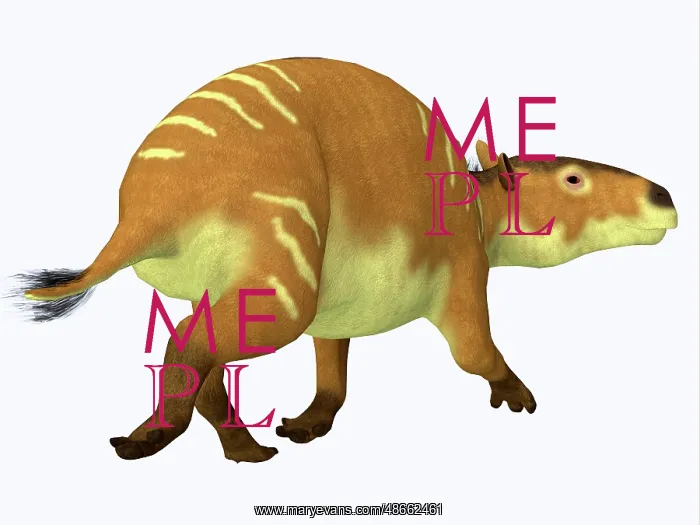 : Eurohippus horse : Eurohippus horse