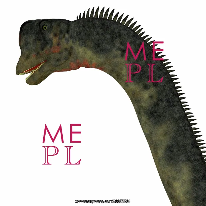 : Europasaurus dinosaur head : Europasaurus dinosaur head