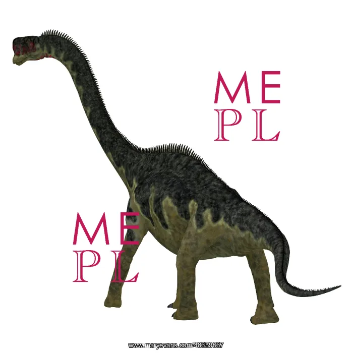: Europasaurus dinosaur, rear view : Europasaurus dinosaur, rear view