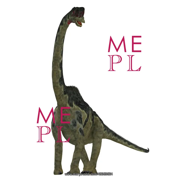 : Europasaurus dinosaur on white background : Europasaurus dinosaur on white background