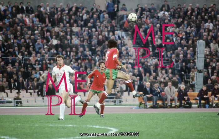 : European championship qualifying match, 1983 : European championship qualifying match, 1983