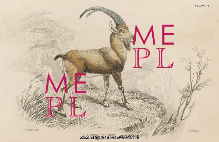  : EUROPEAN IBEX
