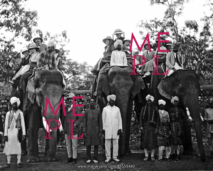 : Europeans on elephants, India : Europeans on elephants, India