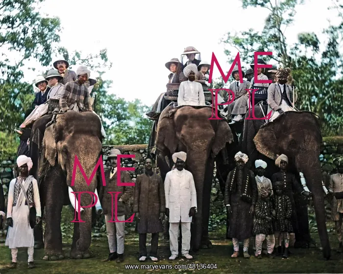 : Europeans on elephants, India : Europeans on elephants, India