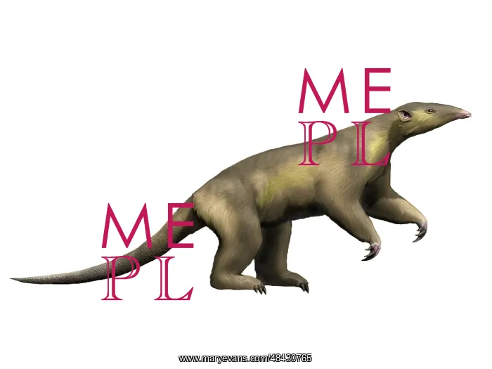 : Eurotamandua is an extinct mammal from the Eocene epoch : Eurotamandua is an extinct mammal from the Eocene epoch