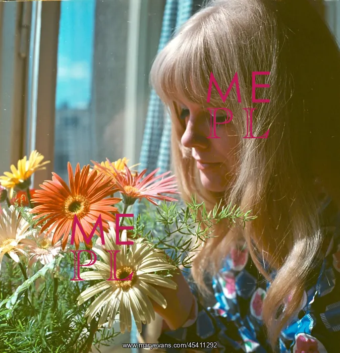 : Eva Pilarova - pop singer - flowers : Eva Pilarova - pop singer - flowers