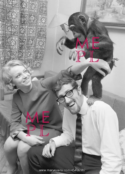 : Eva Romanova - Jackie Graham - pet - chimpanzee : Eva Romanova - Jackie Graham - pet - chimpanzee