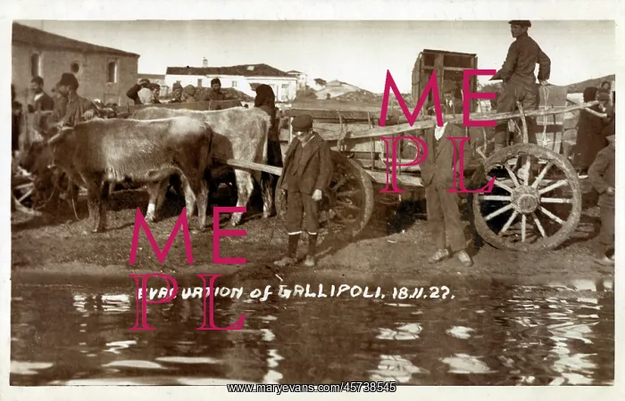 : The Evacuation Of Gallipoli - November 1922 : The Evacuation Of Gallipoli - November 1922