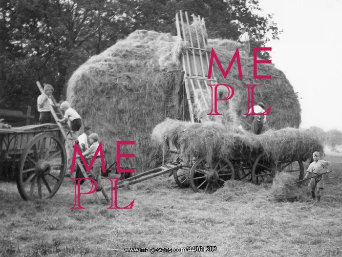 : EVACUEES ON A FARM : EVACUEES ON A FARM