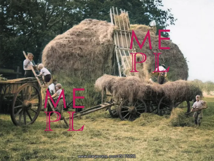 : EVACUEES ON A FARM : EVACUEES ON A FARM