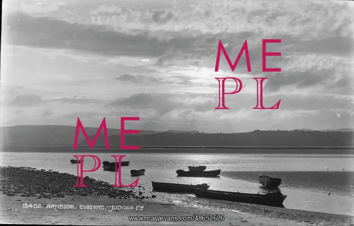 : Evening at Arnside : Evening at Arnside