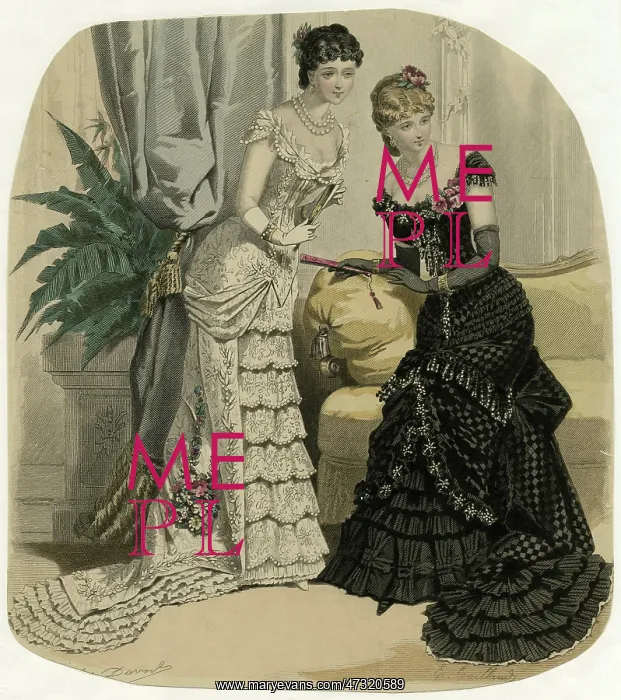 : Evening Dress - 1882 : Evening Dress - 1882